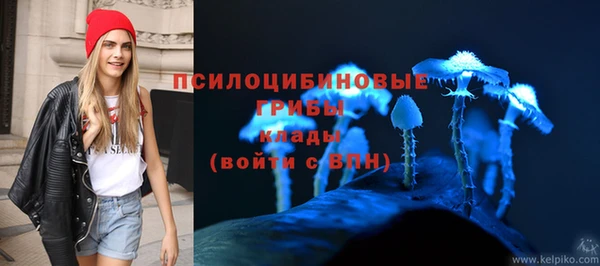 гидропоника Осинники