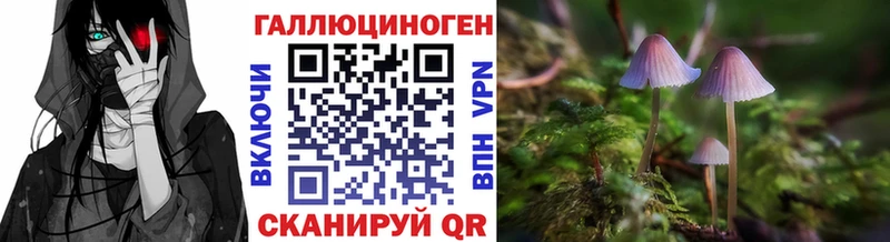 где купить наркоту  мега ТОР  Псилоцибиновые грибы мицелий  Муравленко 