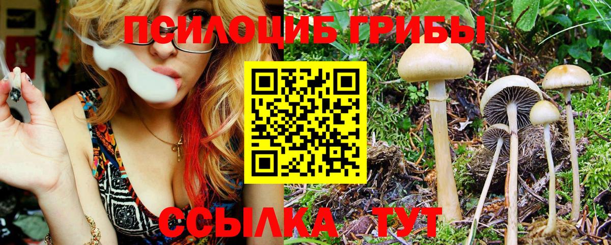 Галлюциногенные грибы Magic Shrooms Муравленко