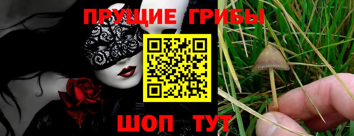Муравленко  Галлюциногенные грибы Psilocybe  Вход с VPN 