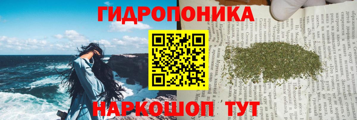 Бошки марихуана гибрид Муравленко